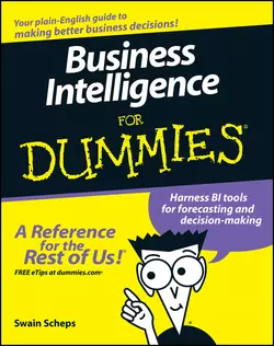 Business Intelligence For Dummies Swain Scheps