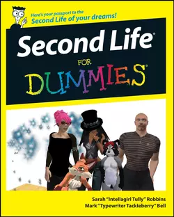 Second Life For Dummies, Sarah Robbins