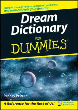 Dream Dictionary For Dummies, Penney Peirce