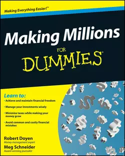 Making Millions For Dummies, Meg Schneider