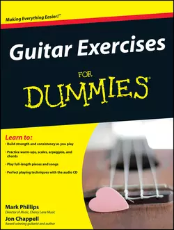 Guitar Exercises For Dummies, Jon Chappell