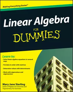 Linear Algebra For Dummies, Mary Jane Sterling