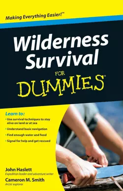 Wilderness Survival For Dummies, Cameron Smith