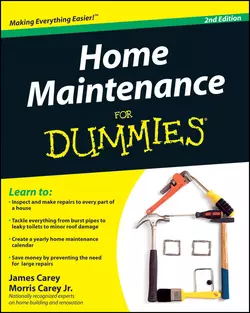 Home Maintenance For Dummies, James Carey