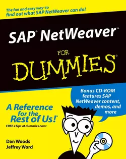 SAP NetWeaver For Dummies Dan Woods и Jeffrey Word