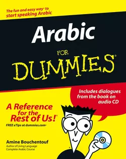 Arabic For Dummies, Amine Bouchentouf