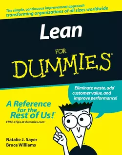 Lean For Dummies, Bruce Williams