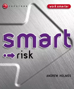 Smart Risk, Andrew Holmes