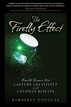 The Firefly Effect. Build Teams That Capture Creativity and Catapult Results, Kimberly Douglas