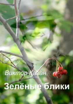 Зелёные блики, Виктор Каган