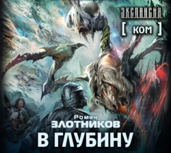 Ком. В глубину, Роман Злотников