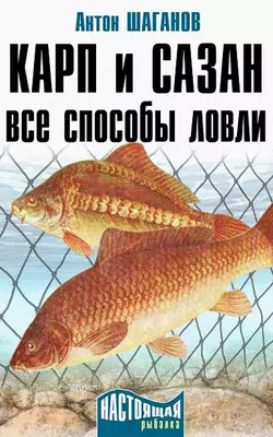 Карп и сазан. Все способы ловли Антон Шаганов