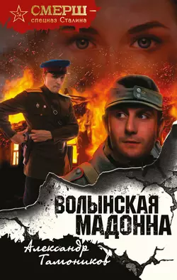 Волынская мадонна, Александр Тамоников