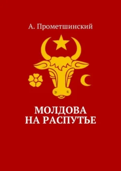 Молдова на распутье, А. Прометшинский