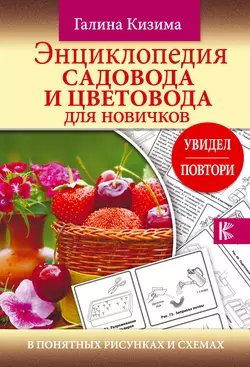 Энциклопедия садовода и цветовода для новичков в понятных рисунках и схемах. Увидел – повтори Галина Кизима