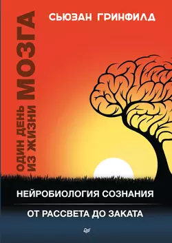 Один день из жизни мозга. Нейробиология сознания от рассвета до заката Сьюзан Гринфилд