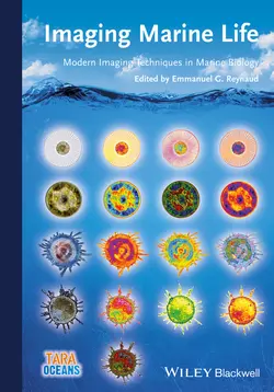 Imaging Marine Life. Macrophotography and Microscopy Approaches for Marine Biology, Emmanuel Reynaud