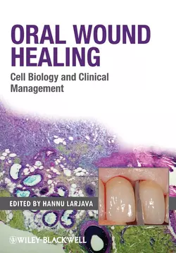 Oral Wound Healing. Cell Biology and Clinical Management, Hannu Larjava