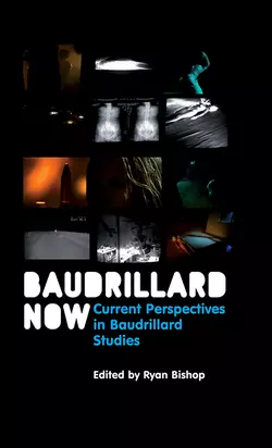 Baudrillard Now. Current Perspectives in Baudrillard Studies, Ryan Bishop