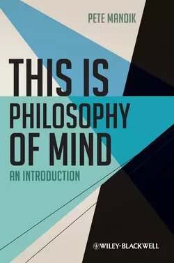 This is Philosophy of Mind. An Introduction, Pete Mandik