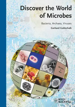 Discover the World of Microbes. Bacteria, Archaea, Viruses, Gerhard Gottschalk