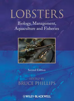 Lobsters. Biology  Management  Aquaculture & Fisheries Bruce Phillips