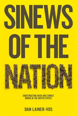 Sinews of the Nation. Constructing Irish and Zionist Bonds in the United States, Dan Lainer-Vos