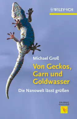 Von Geckos, Garn und Goldwasser. Die Nanowelt lässt grüßen, Michael Gross