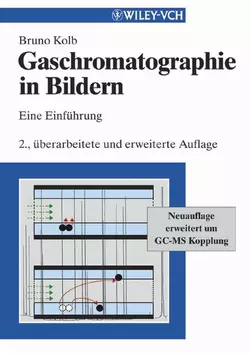 Gaschromatographie in Bildern. Eine Einführung, Bruno Kolb