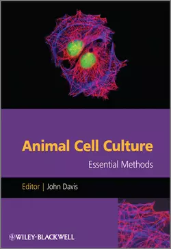 Animal Cell Culture. Essential Methods, John Davis