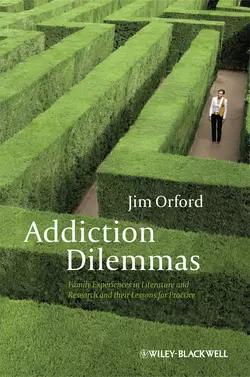 Addiction Dilemmas. Family Experiences from Literature and Research and their Lessons for Practice, Jim Orford