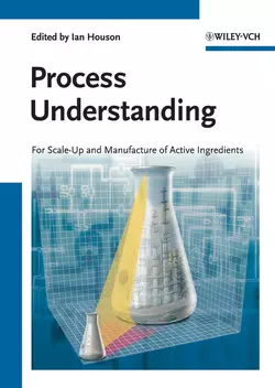 Process Understanding. For Scale-Up and Manufacture of Active Ingredients, Ian Houson