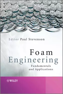 Foam Engineering. Fundamentals and Applications, Paul Stevenson