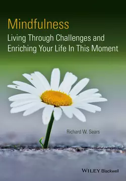 Mindfulness. Living Through Challenges and Enriching Your Life In This Moment, Richard Sears