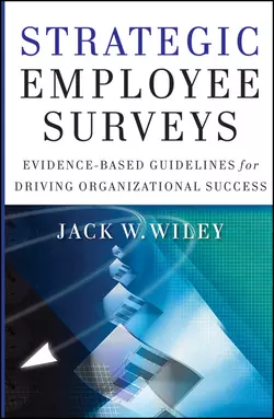 Strategic Employee Surveys. Evidence-based Guidelines for Driving Organizational Success, Jack Wiley