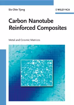 Carbon Nanotube Reinforced Composites. Metal and Ceramic Matrices Sie Tjong