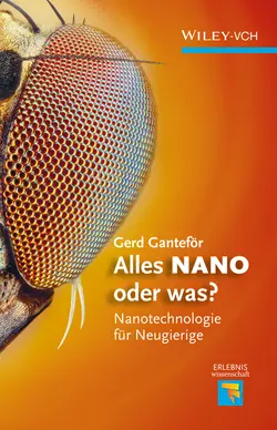 Alles NANO - oder was? Nanotechnologie für Neugierige Gerd Ganteför