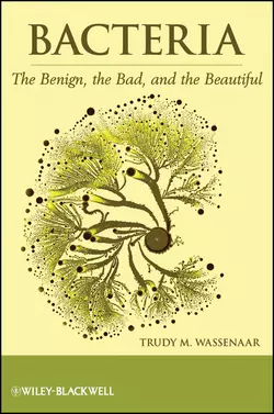 Bacteria. The Benign, the Bad, and the Beautiful, Trudy Wassenaar