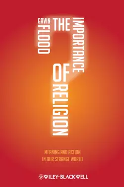 The Importance of Religion. Meaning and Action in our Strange World, Gavin Flood