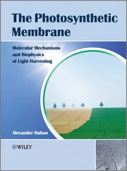 The Photosynthetic Membrane. Molecular Mechanisms and Biophysics of Light Harvesting, Alexander Ruban