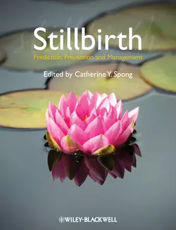 Stillbirth. Prediction, Prevention and Management, Catherine Spong