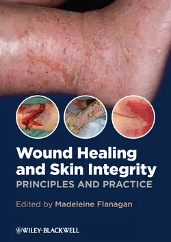 Wound Healing and Skin Integrity. Principles and Practice, Madeleine Flanagan