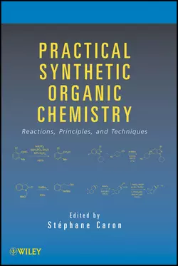 Practical Synthetic Organic Chemistry. Reactions, Principles, and Techniques, Stéphane Caron