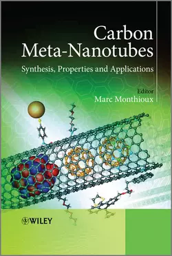 Carbon Meta-Nanotubes. Synthesis, Properties and Applications, Marc Monthioux