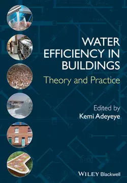 Water Efficiency in Buildings. Theory and Practice, Kemi Adeyeye