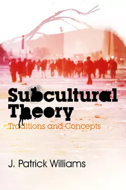 Subcultural Theory. Traditions and Concepts, J. Williams