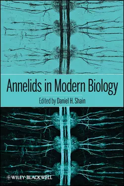 Annelids in Modern Biology, Daniel Shain