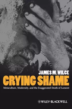 Crying Shame. Metaculture  Modernity  and the Exaggerated Death of Lament James Wilce