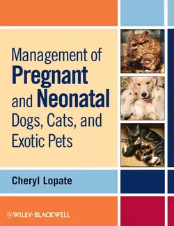 Management of Pregnant and Neonatal Dogs, Cats, and Exotic Pets, Cheryl Lopate