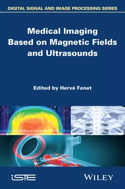 Medical Imaging Based on Magnetic Fields and Ultrasounds, Hervé Fanet